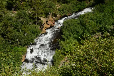 DSC_0064 (Large).JPG